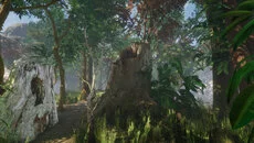 Forest (1983) - дата выхода для Atari 2600