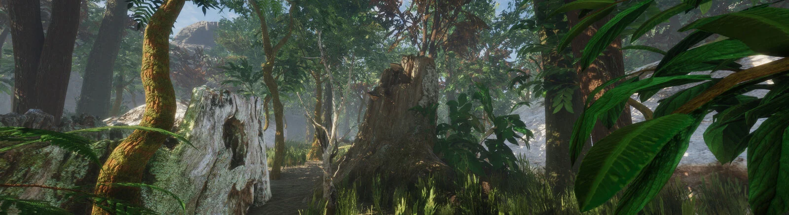 Купить Forest (1980) дешево, скидки до 90% 🏷️, сравнение цен в разных магазинах