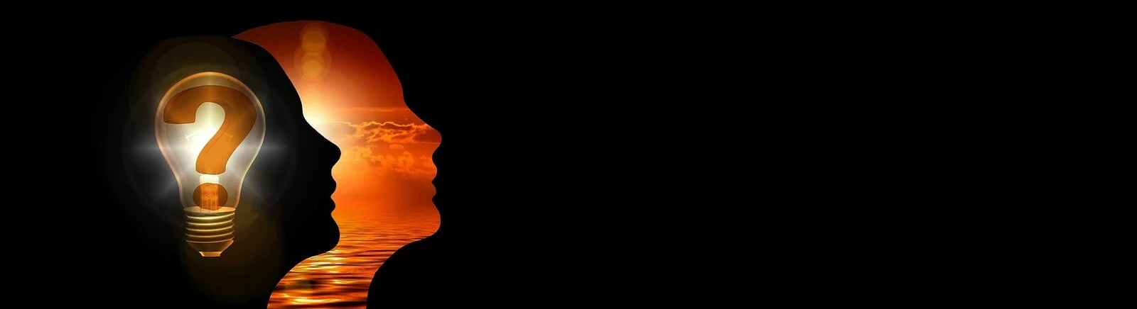 Все отзывы и оценки Guess Who? — 0 мнений