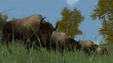 Hunting Unlimited 2 - игра в жанре Симулятор