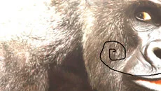 Monkey Business (2006) - дата выхода для ExEn