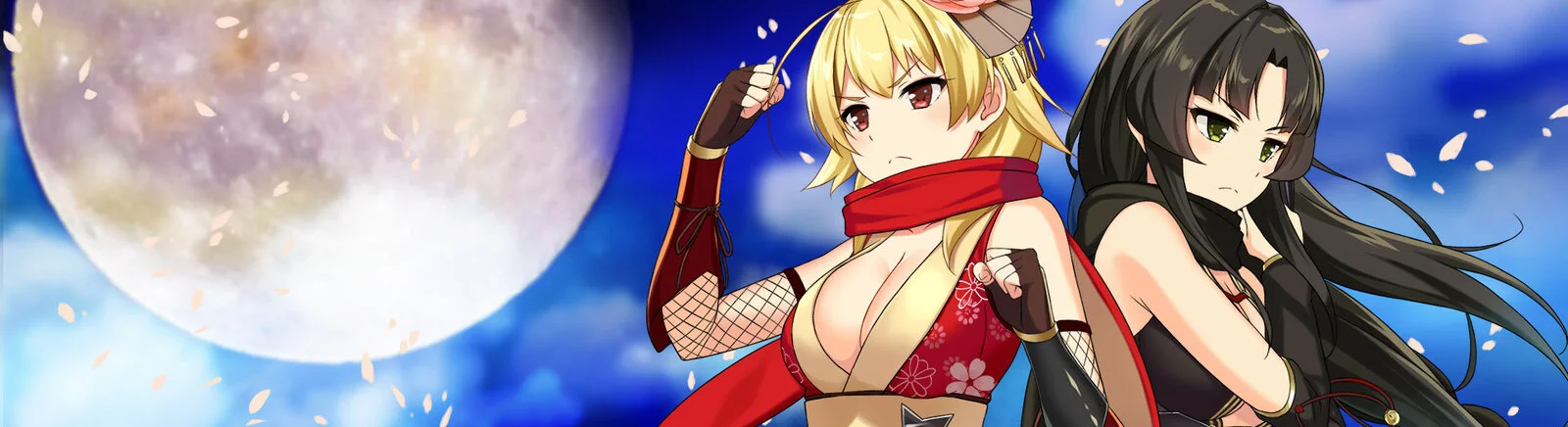 Ninja (1987) - что это за игра, трейлер, системные требования, отзывы и оценки, цены и скидки, гайды и прохождение, похожие игры 