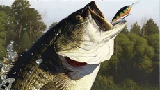 Rapala Pro Fishing - дата выхода для PSP