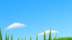 Tumblebugs - дата выхода для iPhone