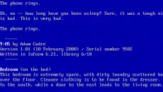 Varicella - дата выхода для Windows 3.x