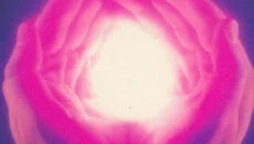 Wishbringer - дата выхода для TRS-80 CoCo