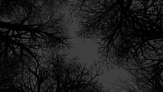 Witch Hunt - дата выхода для PC