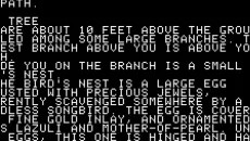 Zork: The Great Underground Empire - дата выхода для DOS