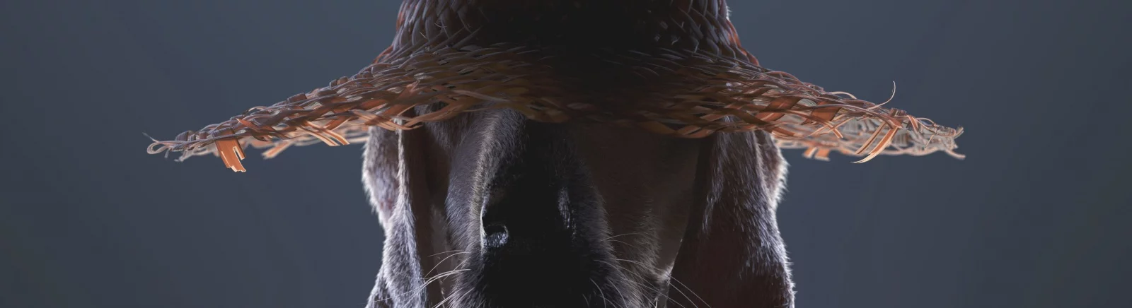 Дата выхода Kentucky Route Zero в разных странах мира