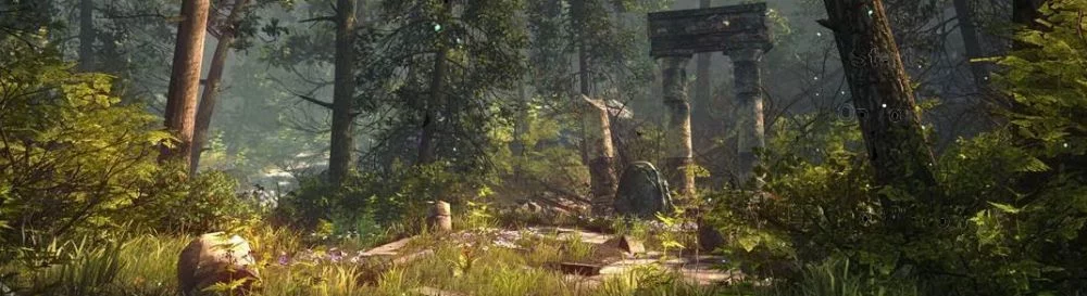 Гайды The Forest - советы и руководства: как прокачаться, пройти сложную миссию или заработать денег