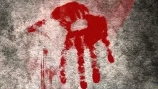 I Shall Remain - дата выхода для PC