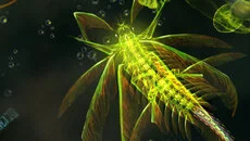 Sparkle 2 Evo - дата выхода для Android