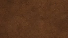 Gold Rush! Anniversary - дата выхода для Linux