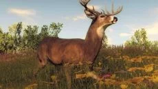 theHunter Classic - дата выхода для PC