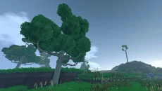 Eco - дата выхода