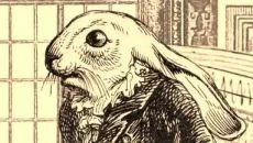 Aviary Attorney - дата выхода для Mac