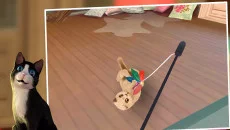 Cat Hotel - дата выхода для iOS