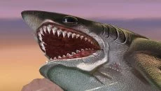 Hungry Shark World - дата выхода для Amazon Fire TV