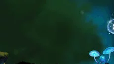 Flying Slime - дата выхода для iOS