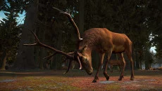 Yore VR - дата выхода для PC