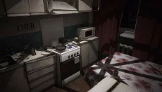 Twin Soul - дата выхода для PlayStation 4