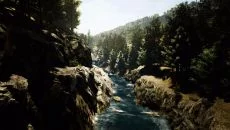 Reaching for Petals - дата выхода