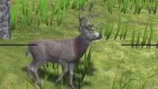 Deer Hunter Reloaded - дата выхода для PlayStation 4