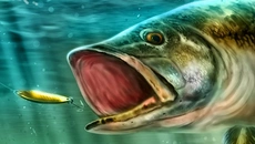 Ultimate Fishing Simulator - дата выхода для Xbox One
