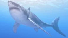 Operation Apex - дата выхода для PC