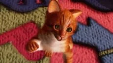 Max and Maya: Cat simulator - игра в жанре Ролевая игра