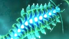 Sparkle 3 Genesis - дата выхода для Android