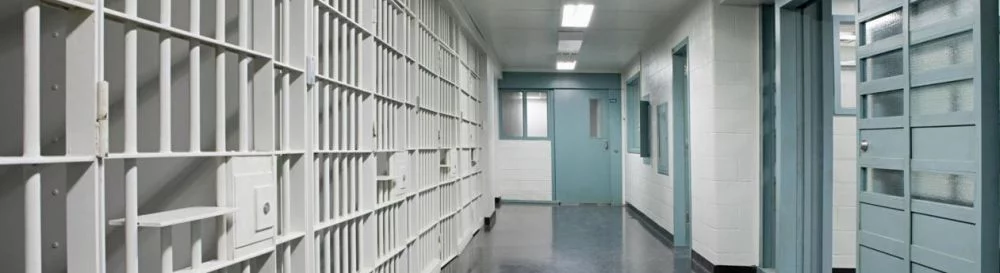 Купить Prison Test в магазине Steam — цены и предложения