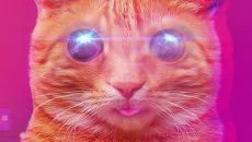 PUSS! - дата выхода для Nintendo Switch