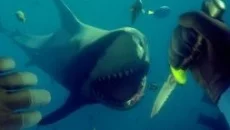 Deep Diving Simulator - игра в жанре Симулятор