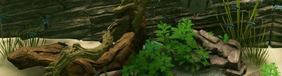 Biotope - что это за игра, когда выйдет, трейлер и видео, системные требования, картинки, цена, похожие игры 