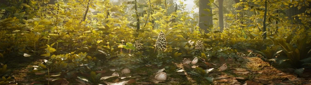 Morels: The Hunt - что это за игра, трейлер, системные требования, отзывы и оценки, цены и скидки, гайды и прохождение, похожие игры 