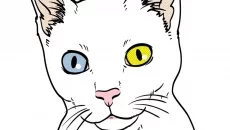 Cat Simulator - дата выхода для PC