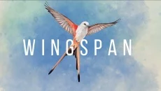 WINGSPAN - дата выхода для Xbox One