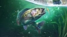 Ultimate Fishing Simulator 2 - дата выхода для PC