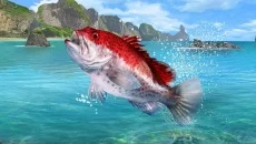 Fishing Clash - дата выхода для iOS
