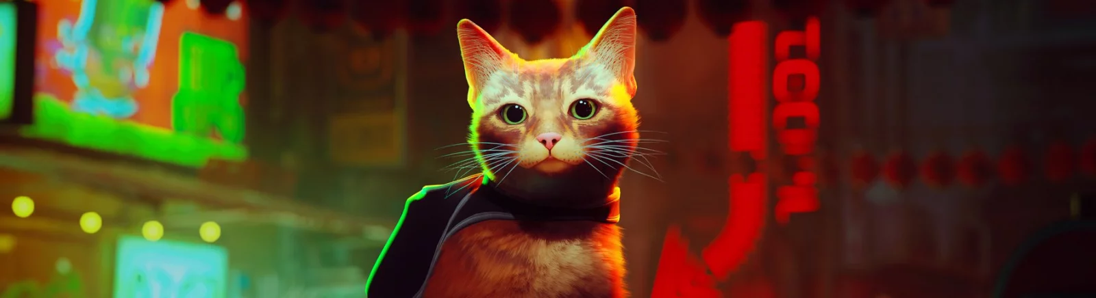 Stray — Вид от первого лица / Геймплей / Моды и скины