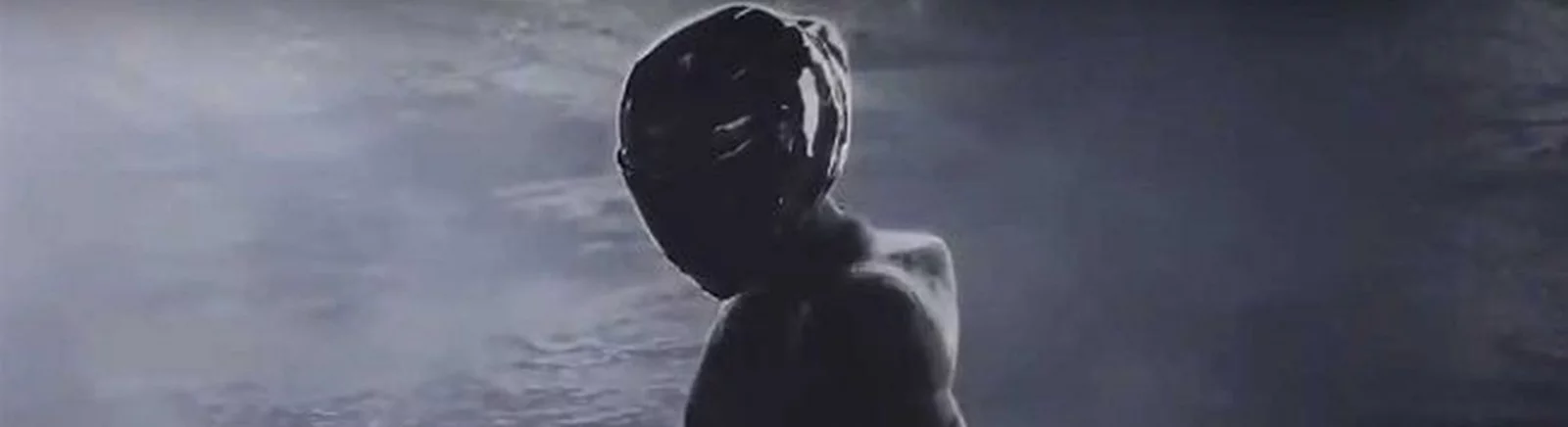 RiMS Racing - что это за игра, трейлер, системные требования, отзывы и оценки, цены и скидки, гайды и прохождение, похожие игры 