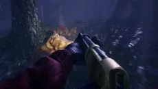 Try to Survive! - дата выхода для PC