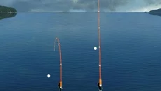 True Fishing - дата выхода для Android