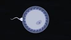 Imagine Lifetimes - дата выхода для PC