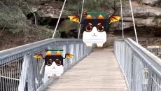 AR Devil: Dragon Shooter 3D - дата выхода для iOS