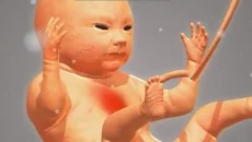 9 Months - дата выхода для iOS