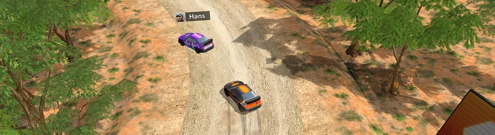 Цитаты из Go Rally