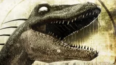 Compound Fracture - дата выхода