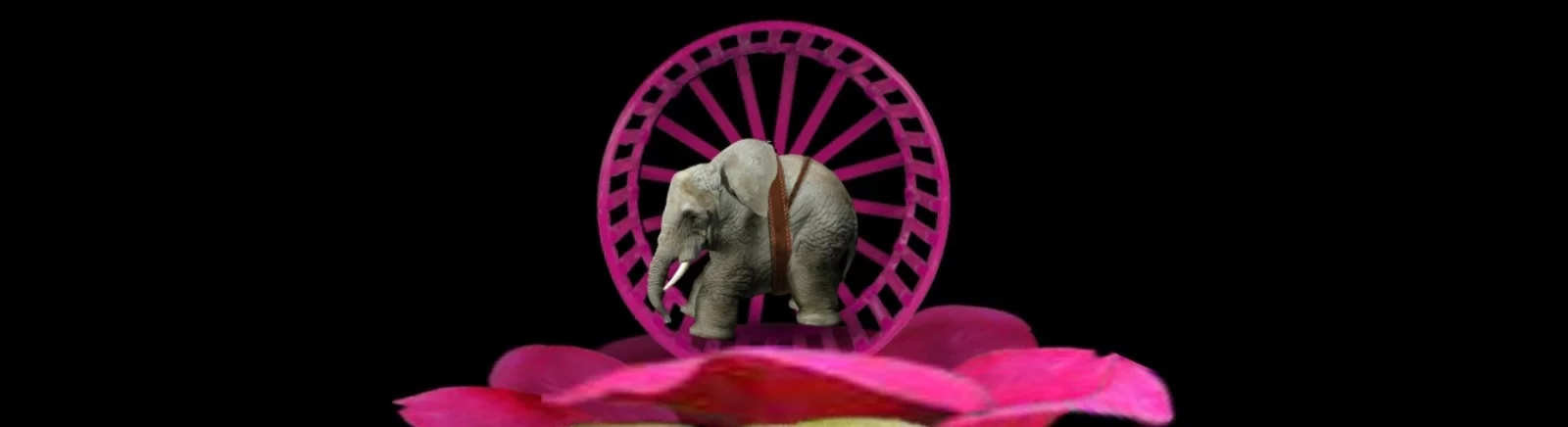 Mitoza - что это за игра, трейлер, системные требования, отзывы и оценки, цены и скидки, гайды и прохождение, похожие игры 